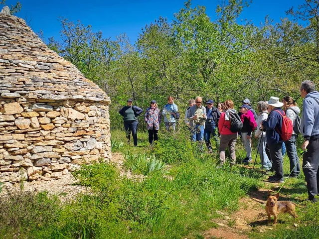 Randonnée sur le Causse de Savignac