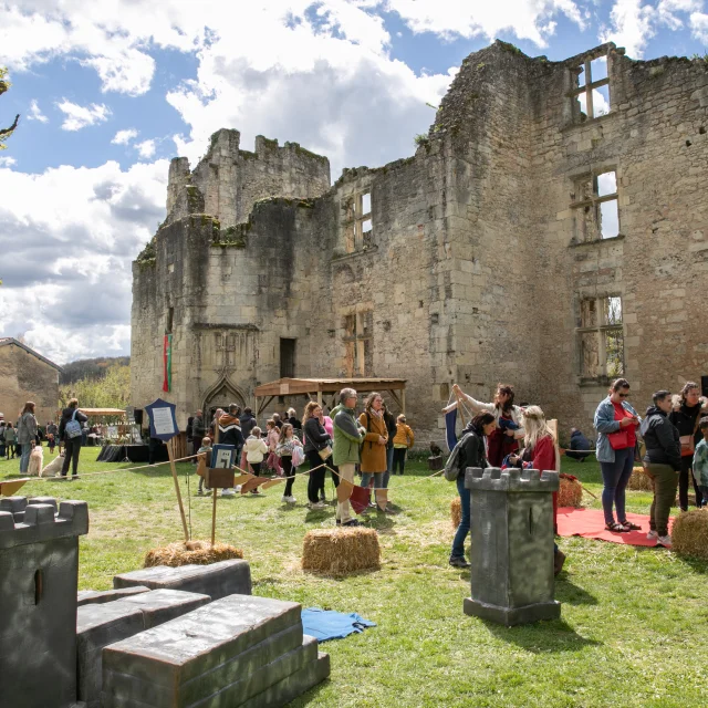 Cartes postales Perigueux Chateau.. | Ansichtskarten günstig