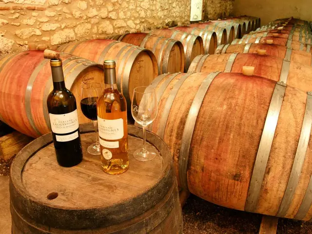 Chai dans le vignoble de Bergerac