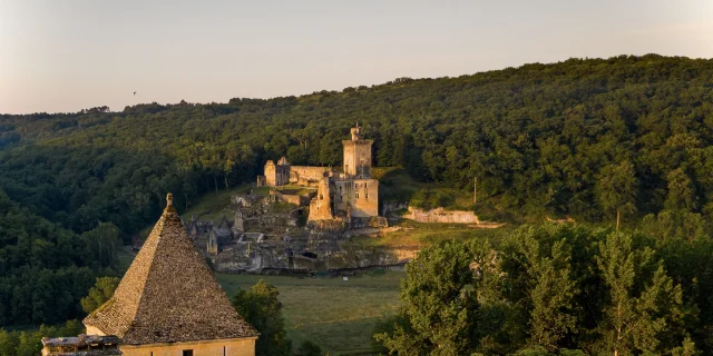 Château de Commarque