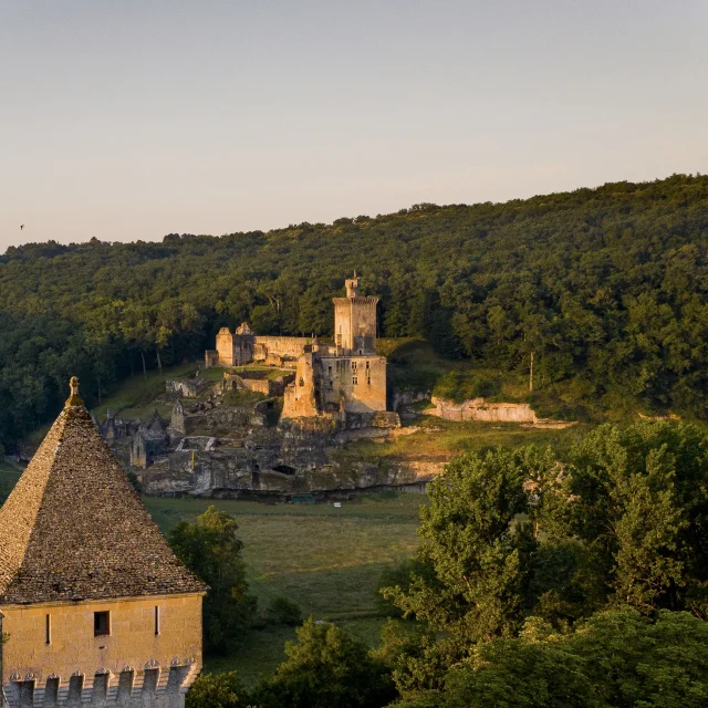 Château de Commarque