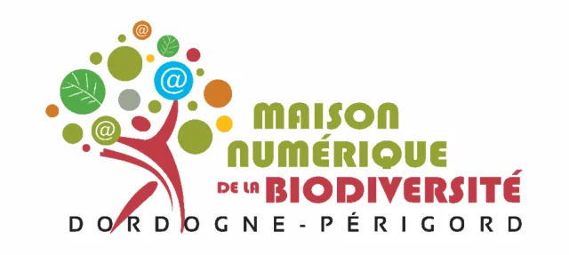 Csm Logo Mnb Horizontal Sans Fond Blanc 142dbffef5