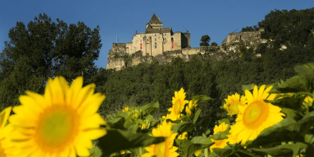 Castelnaud