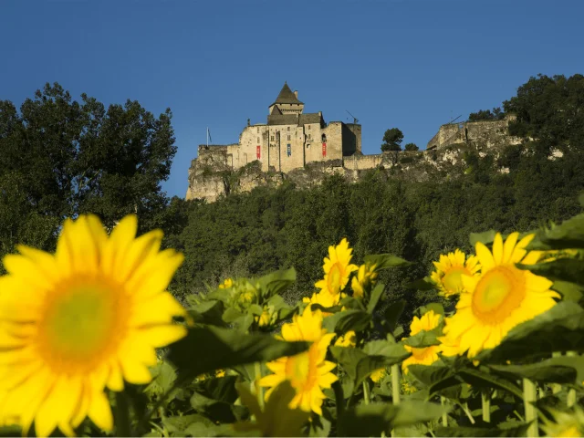 Castelnaud
