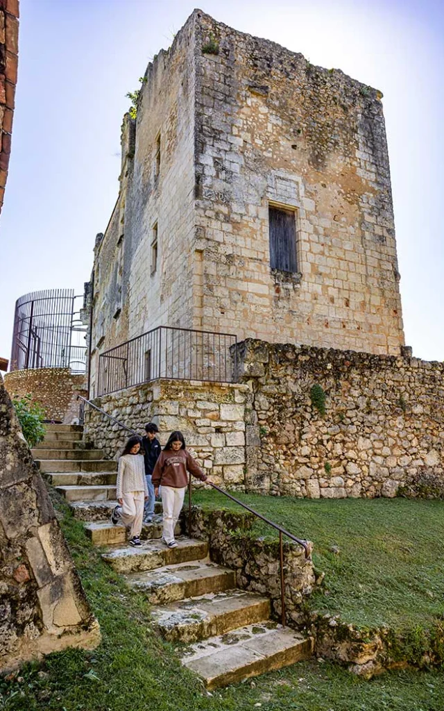 Château de Barrière à Villamblard