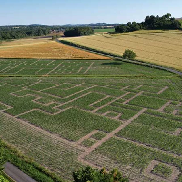 Labyrinthe Végétal de Vendoire