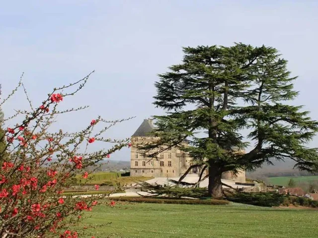 Château de Hautefort