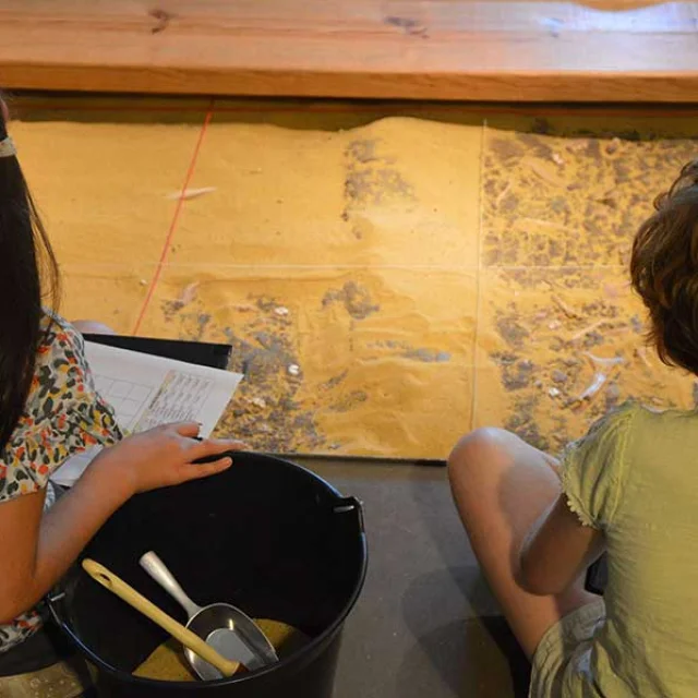 Atelier Chantier de fouilles au Pôle d'interprétation de la Préhistoire - Les Eyzies