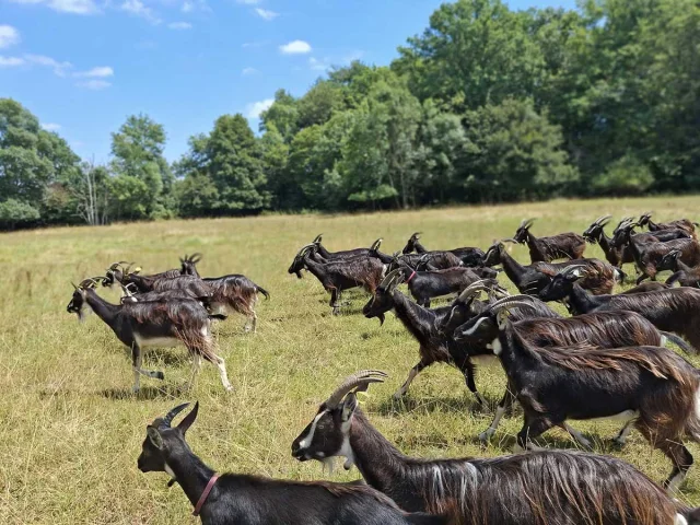 Ferme à Roulettes à Saint-Vivien