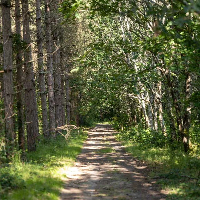 Sentier botanique de La Roche Chalais