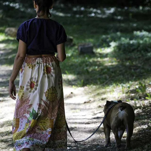 Avec mon chien dans le Grand Périgueux