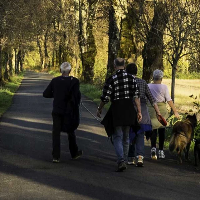 Avec mon chien dans le Grand Périgueux
