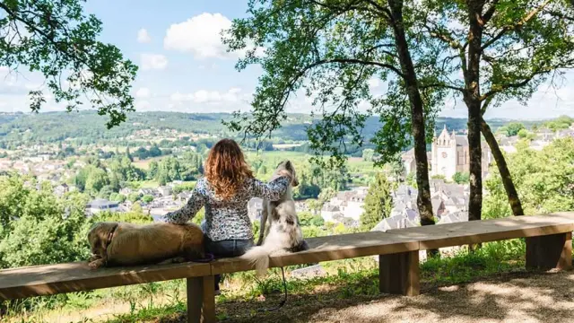 Balade avec mon chien en Périgord Noir