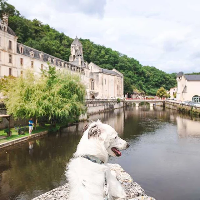 Visiter Brantôme avec mon chien