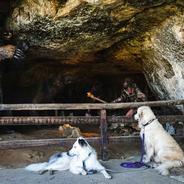 Visite de La Roque Saint-Christophe avec mon chien