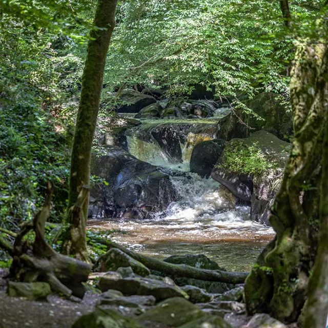Saut du Chalard à Champs Romain
