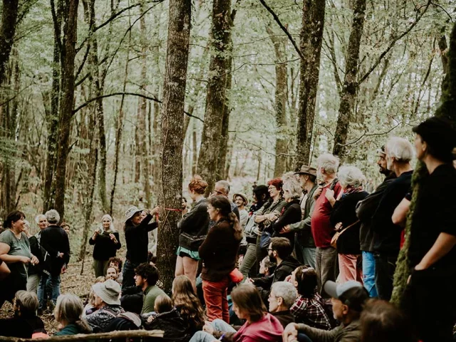 Festival des Scieurs et de la Forêt à Tursac