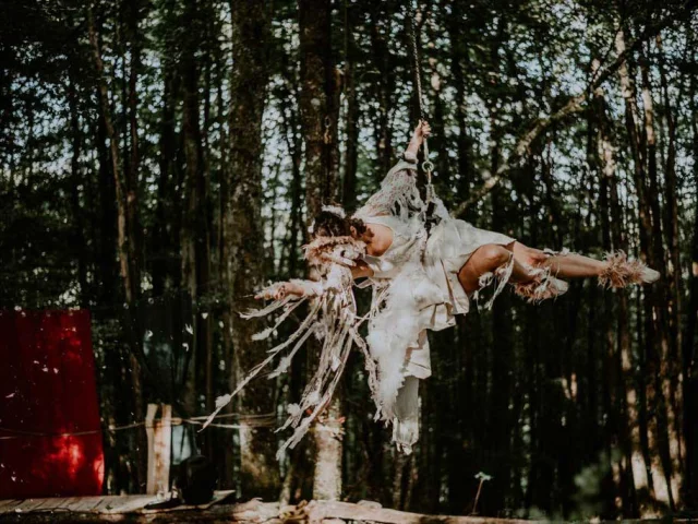 Festival des Scieurs et de la Forêt à Tursac