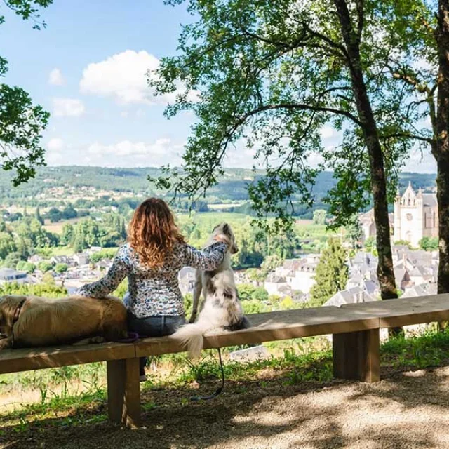 Balade avec mon chien en Périgord Noir