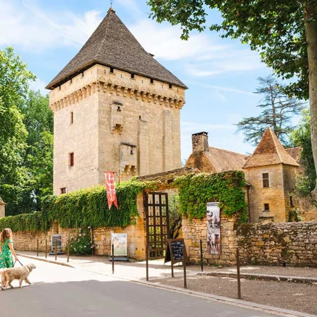 Balade avec mon chien en Périgord Noir