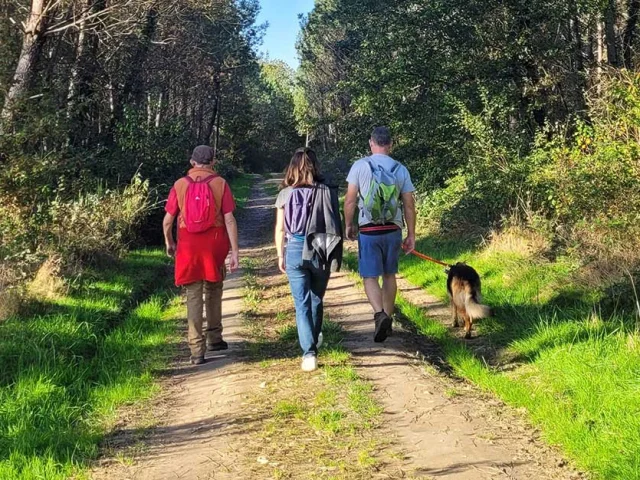 Balade en forêt avec mon chien en vallée de l'Isle