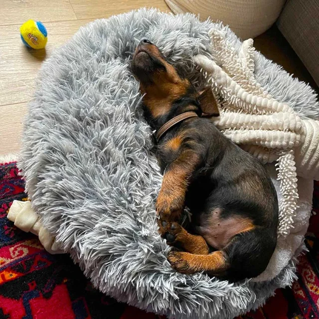 Sieste bien méritée