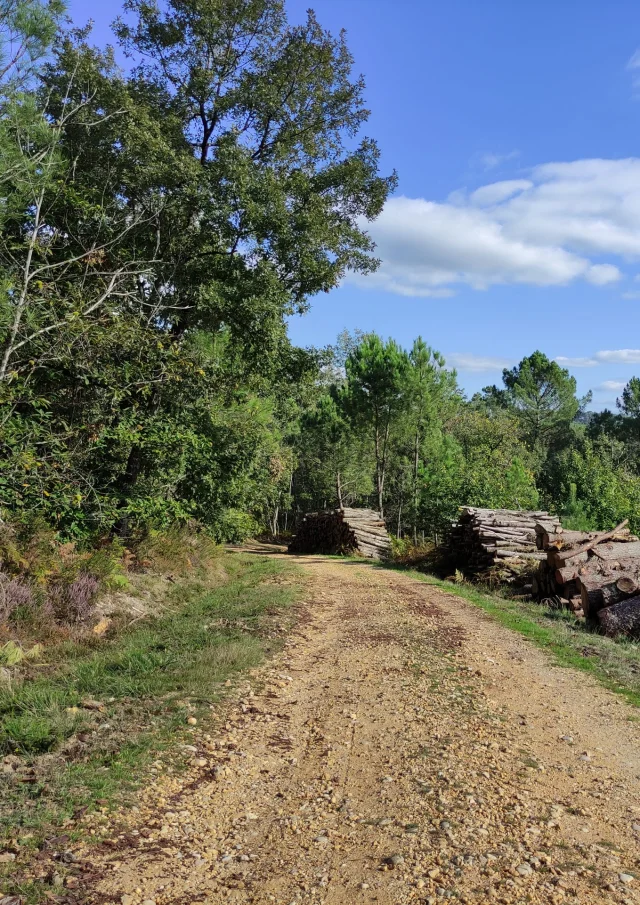 1645698405872 Scaled 2