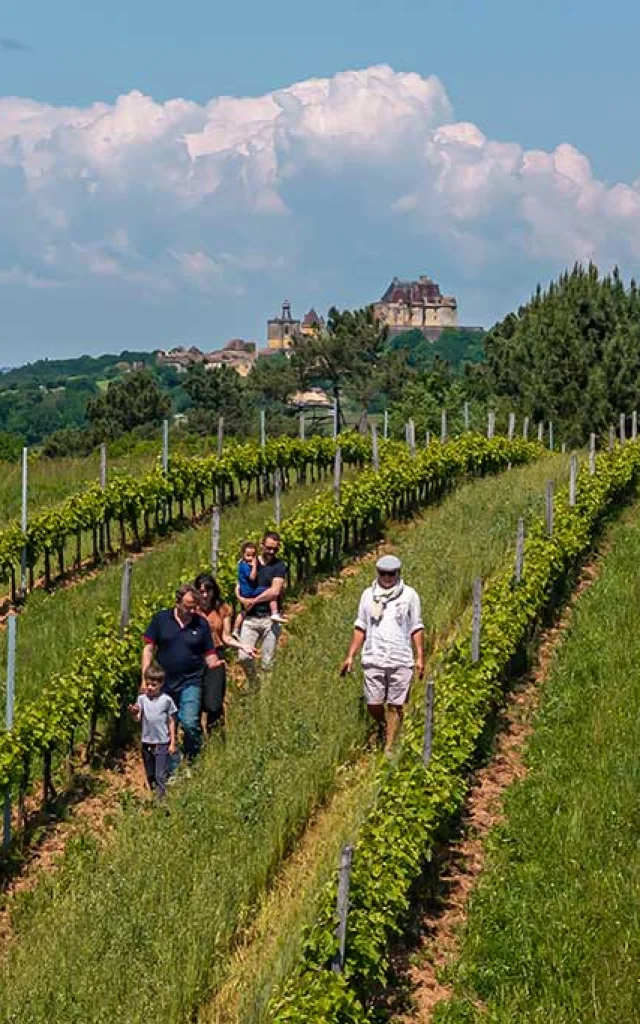 Gite Le Clos des Vignes au Domaine de la Tuque à Biron