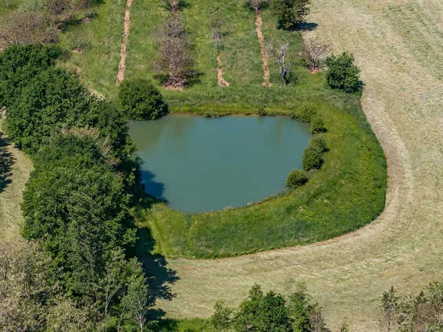 Gîtes Domaine Les Mareillauds à Salon