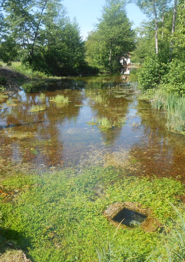 Dscn1852