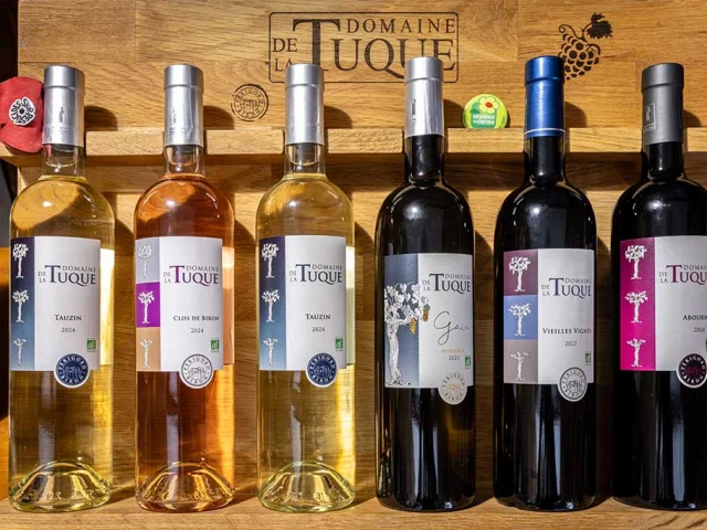 Gite Le Clos des Vignes au Domaine de la Tuque à Biron