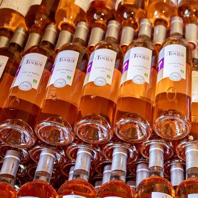 Gite Le Clos des Vignes au Domaine de la Tuque à Biron
