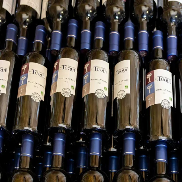 Gite Le Clos des Vignes au Domaine de la Tuque à Biron