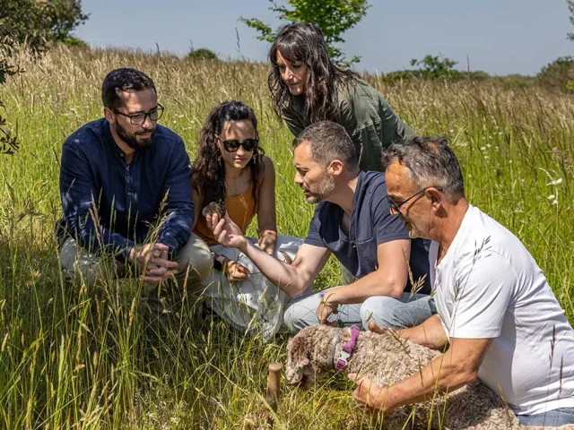 Gîtes Domaine Les Mareillauds à Salon
