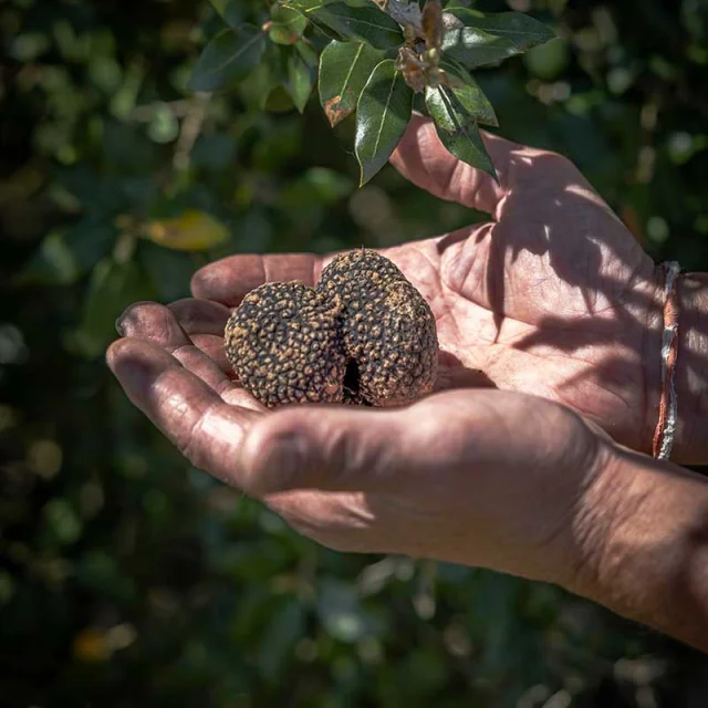 Gîtes Domaine Les Mareillauds à Salon
