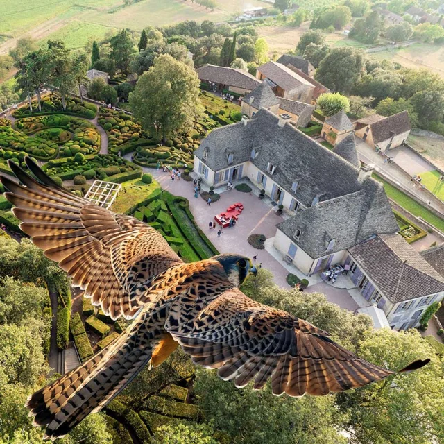 journée dédiée aux oiseaux en collaboration avec la LPO aux Jardins de Marqueyssac