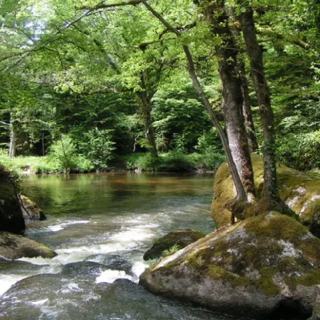 Trou du Papetier à Mialet