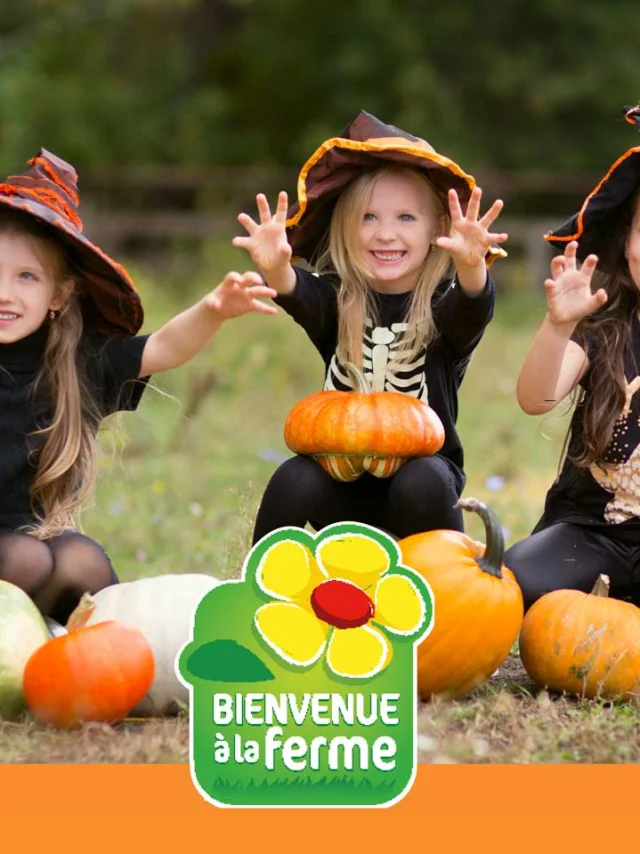 Automne Ferme 2025 Visuel
