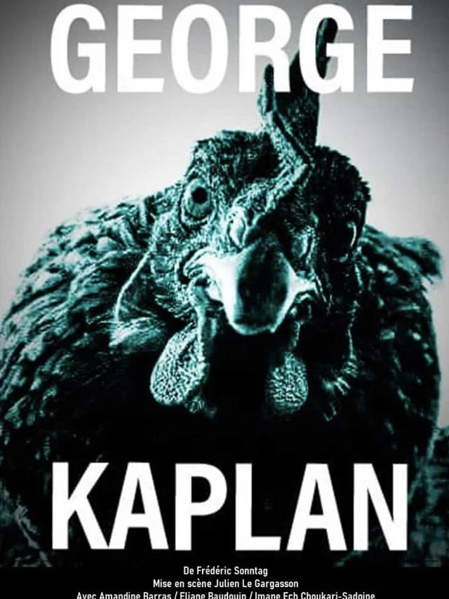 George Kaplan, pièce de Frédéric Sonntag - Cie FET