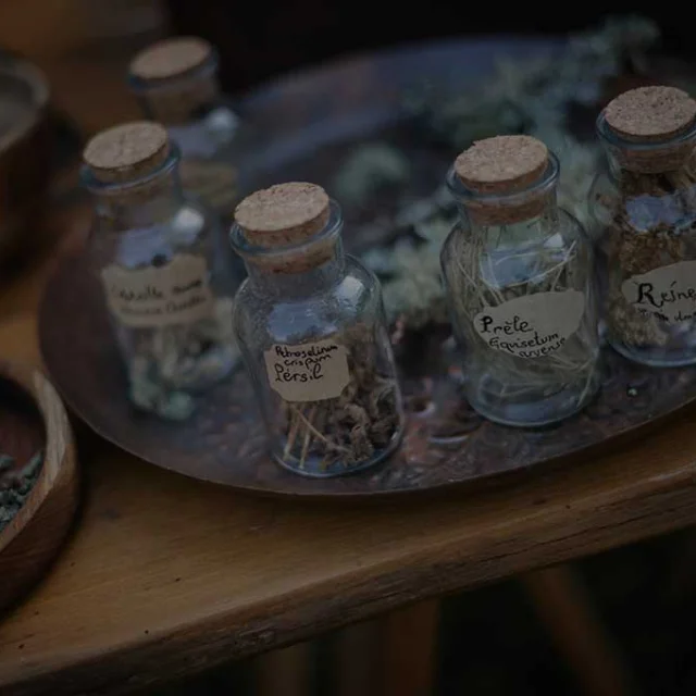 Les Nuits de l'Elfe au Château de Commarque