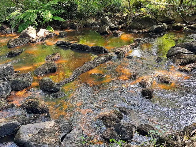 Domaine du Bandiat - rivière Le Bandiat