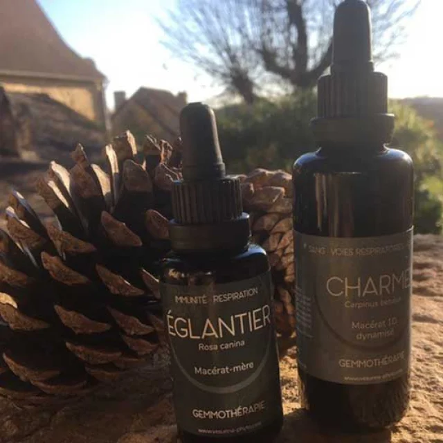 Vesunna - L'atelier herboriste en Périgord à Azerat . Gemmothérapie.