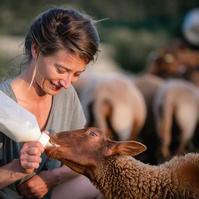 Village de La Madeleine - Nourrissage des animaux