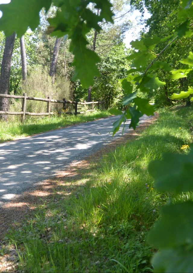 Circuit Cyclo Resistance Isle