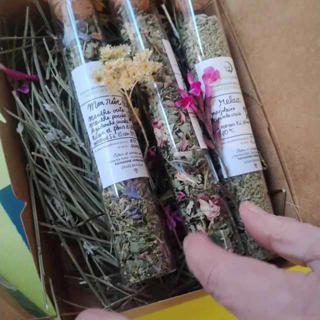 L'Herbe Folle - Soulhol Marjorie - Plantes médicinales à Mareuil