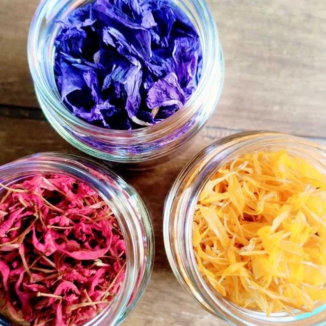 Le jardin forêt de Cléophée à Segonzac