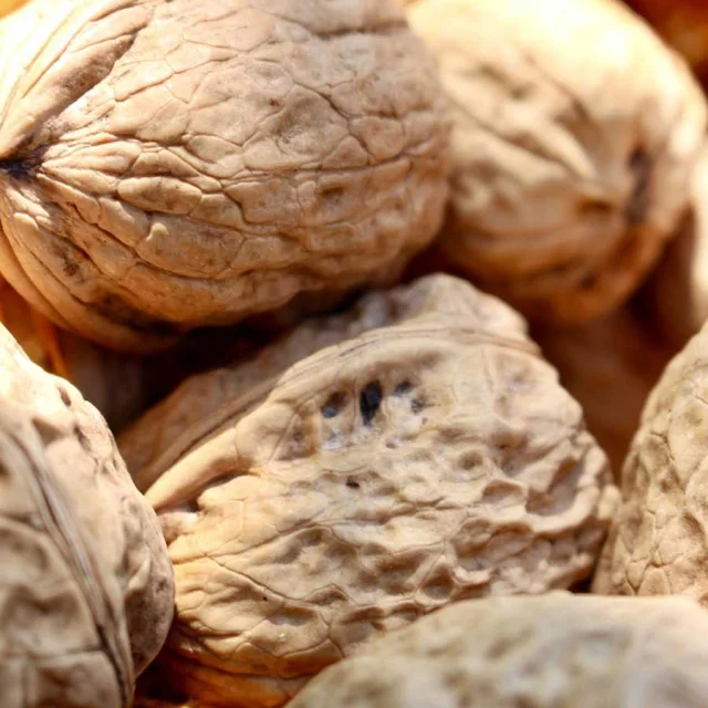 Là Cosmétique d'ici - Cosmétique naturelle et éco-responsable,