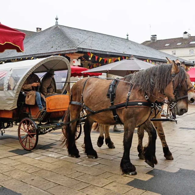 Bastides en Fête à Vergt