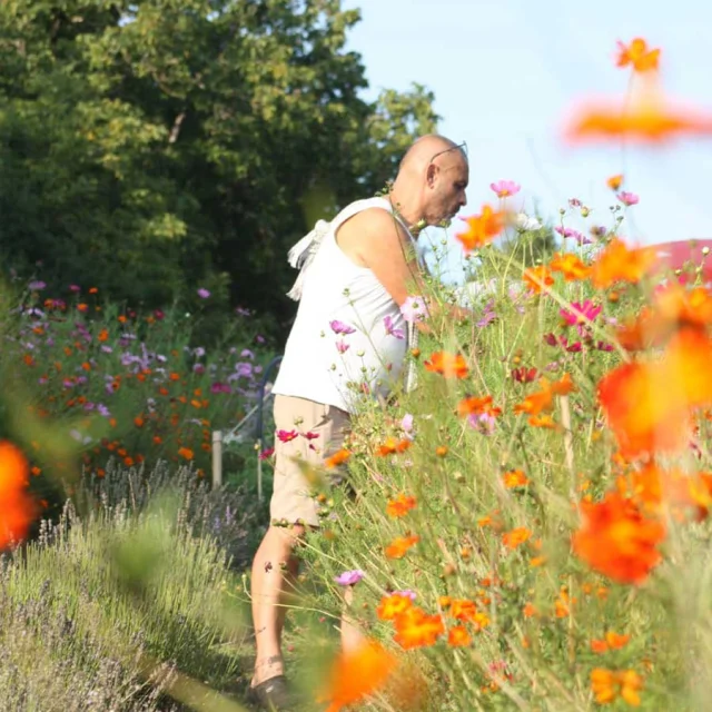 Le Prévert d'Aubisse à Payzac - plantes aromatiques, médicinales et fleurs comestibles en agriculture biologique