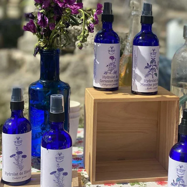 Les trésors de Galien à Verteillac - tisanes & huiles essentielles